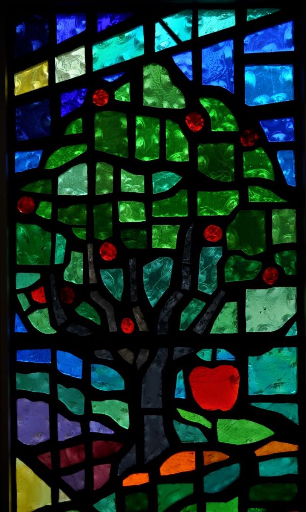 Stained glass window of an apple tree representative of the Genesis story of the Garden of Eden