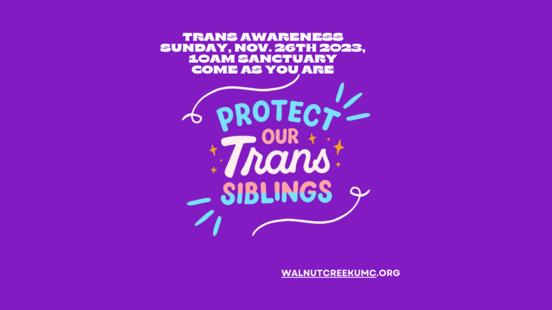 Protect out Trans Siblings. Trans Awareness Sunday Nove. 26th 2023, 10AM sanctuary walnutcreekumc.org, in a dynamic and playful font